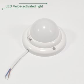  sound and voice activated induction lamp  